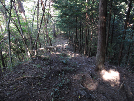 20151014hike (190)